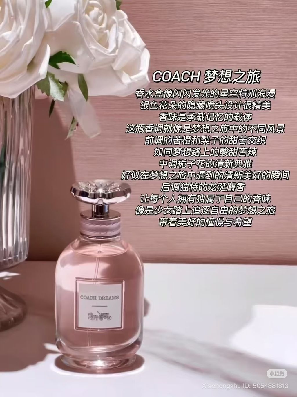 image_1C3430E9-0CD5-4113-B500-021FD97A569D_1761586058