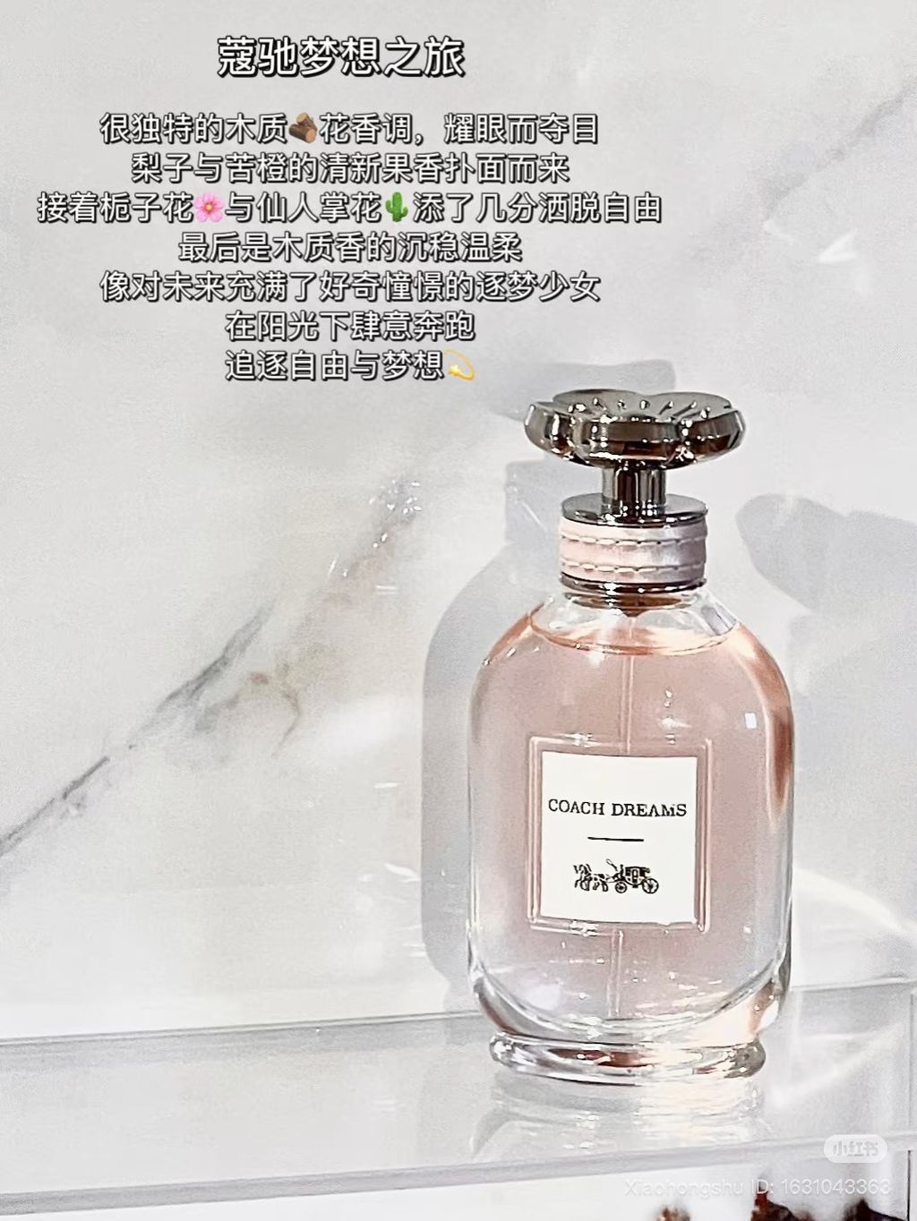 image_5ADCCAEE-9773-4B5C-89A5-D23A1EB23CEF_1761586058