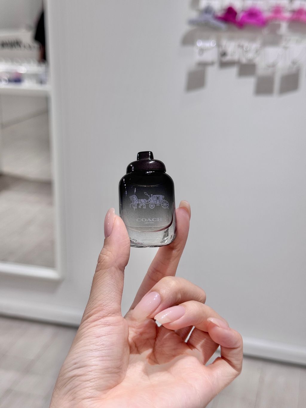 image_B3E40741-4FA3-437E-BE2D-155E96680B6E_1761647568