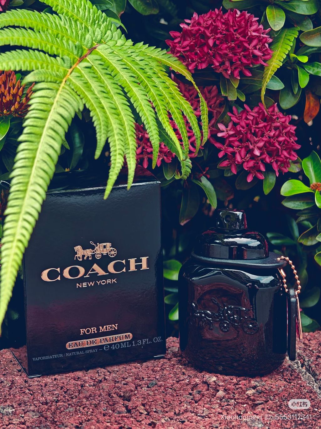 image_A3558EE1-B1F1-404E-AEEC-4CE935A3EF04_1761648104