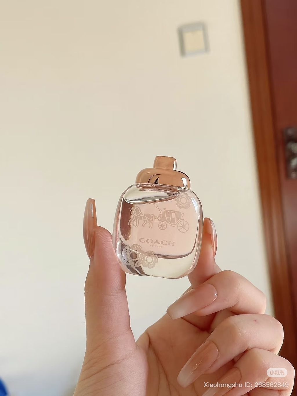 image_7069BC54-0DA3-4346-937F-6B244515C76E_1761648195