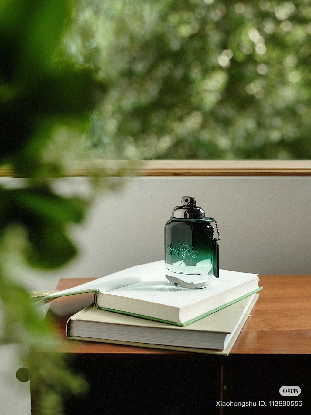 image_88FAE21B-A51B-4086-8C20-43FC3935A692_1761648543