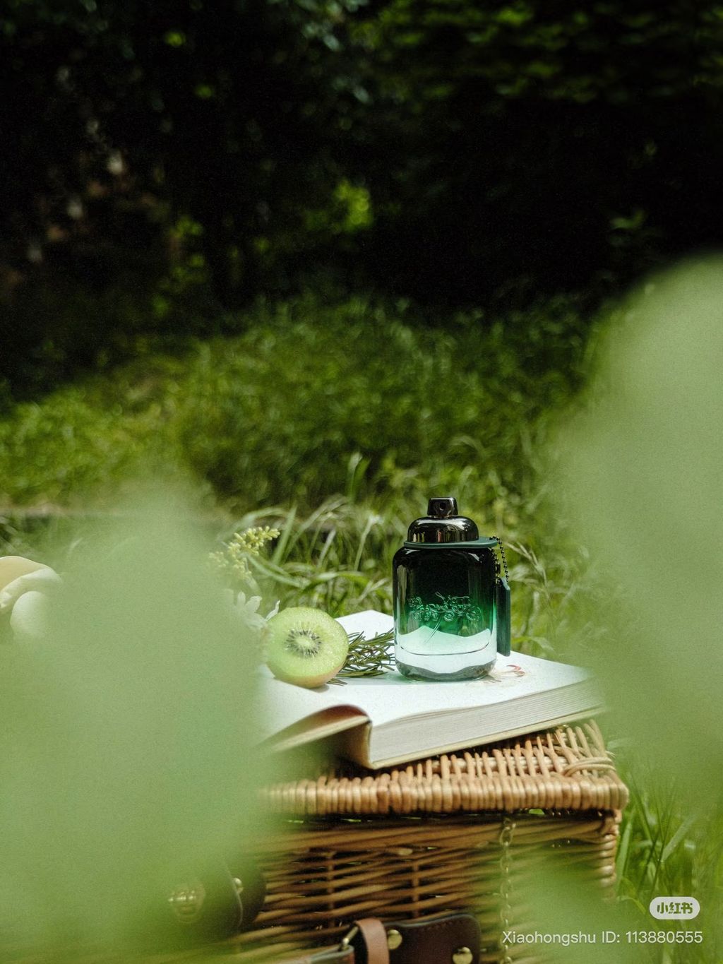 image_C16ED51B-4CB9-40A9-858C-85D0C40F95BD_1761648543