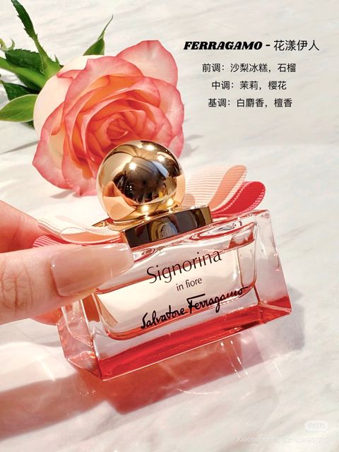 image_0450CD47-6999-4D22-8CEB-36E77259AEDD_1761650077