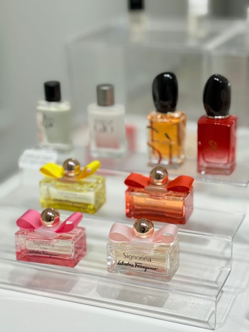 image_59F7D0A5-F381-489E-913F-2EAB9BB29B7B_1761650077