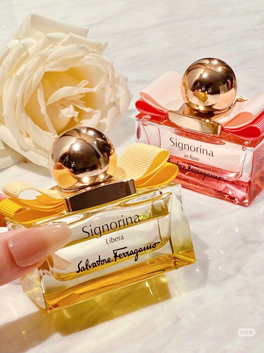 image_56A248EF-1FE5-4DFD-ADB6-56E111CEF6A2_1761650248