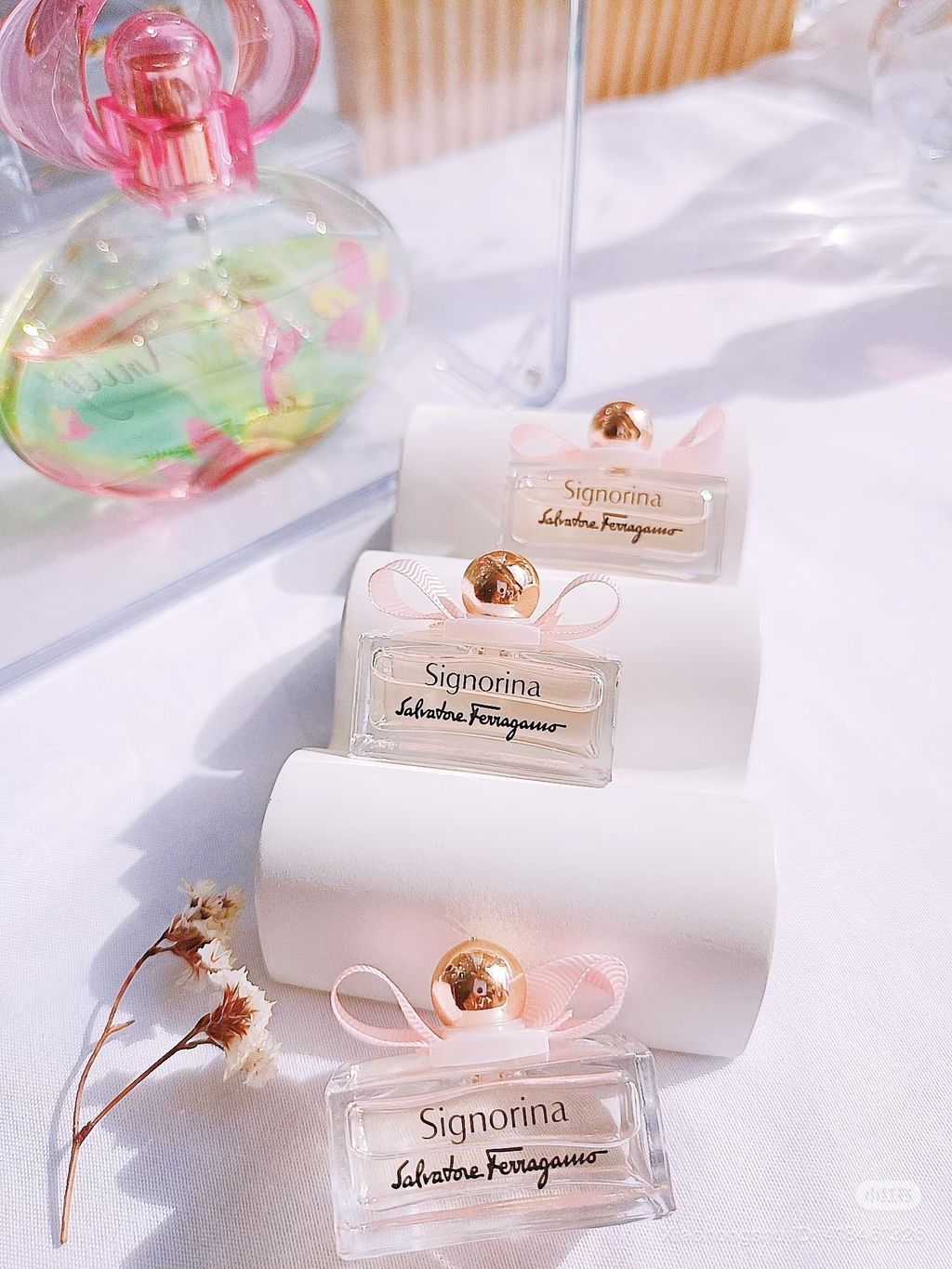 image_5DABAB26-66F0-4088-8490-548D1A4DDE06_1761650649