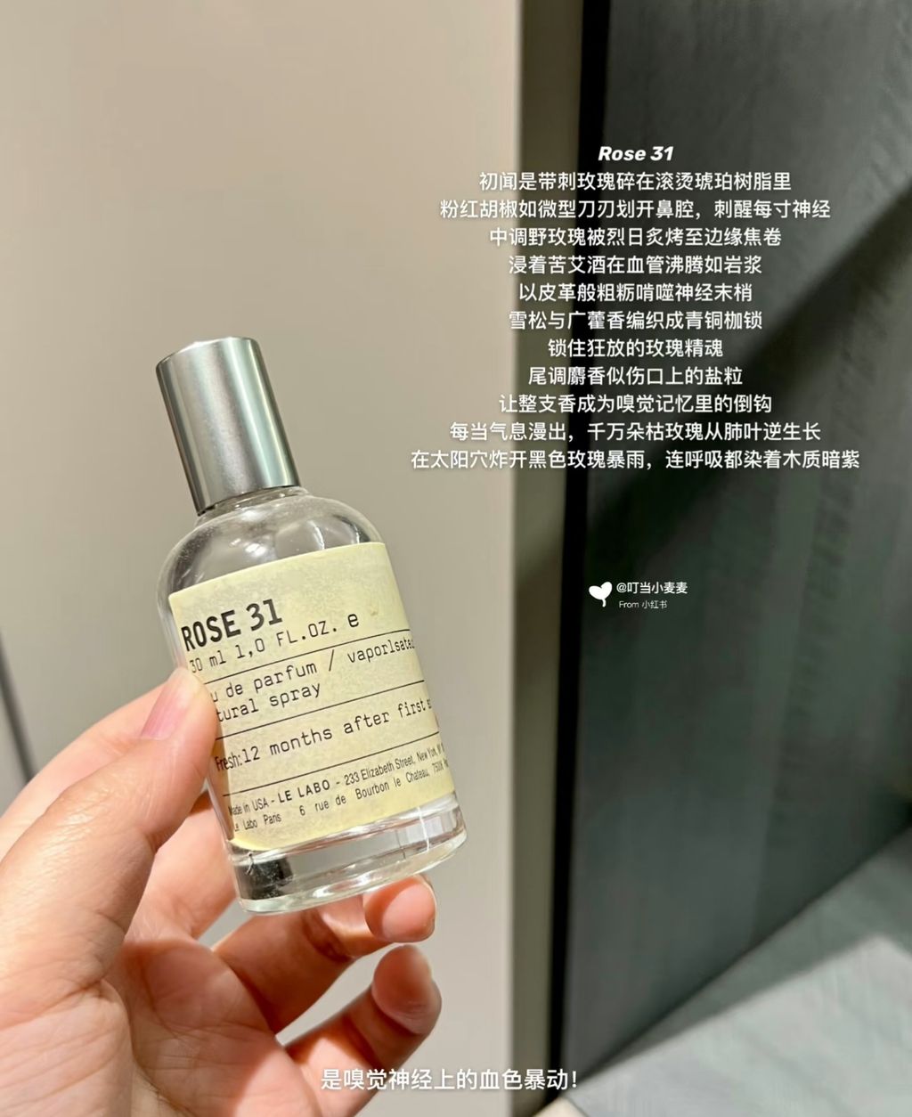 image_321C1F29-552F-4D00-93D2-1CAA900CB04B_1761656420