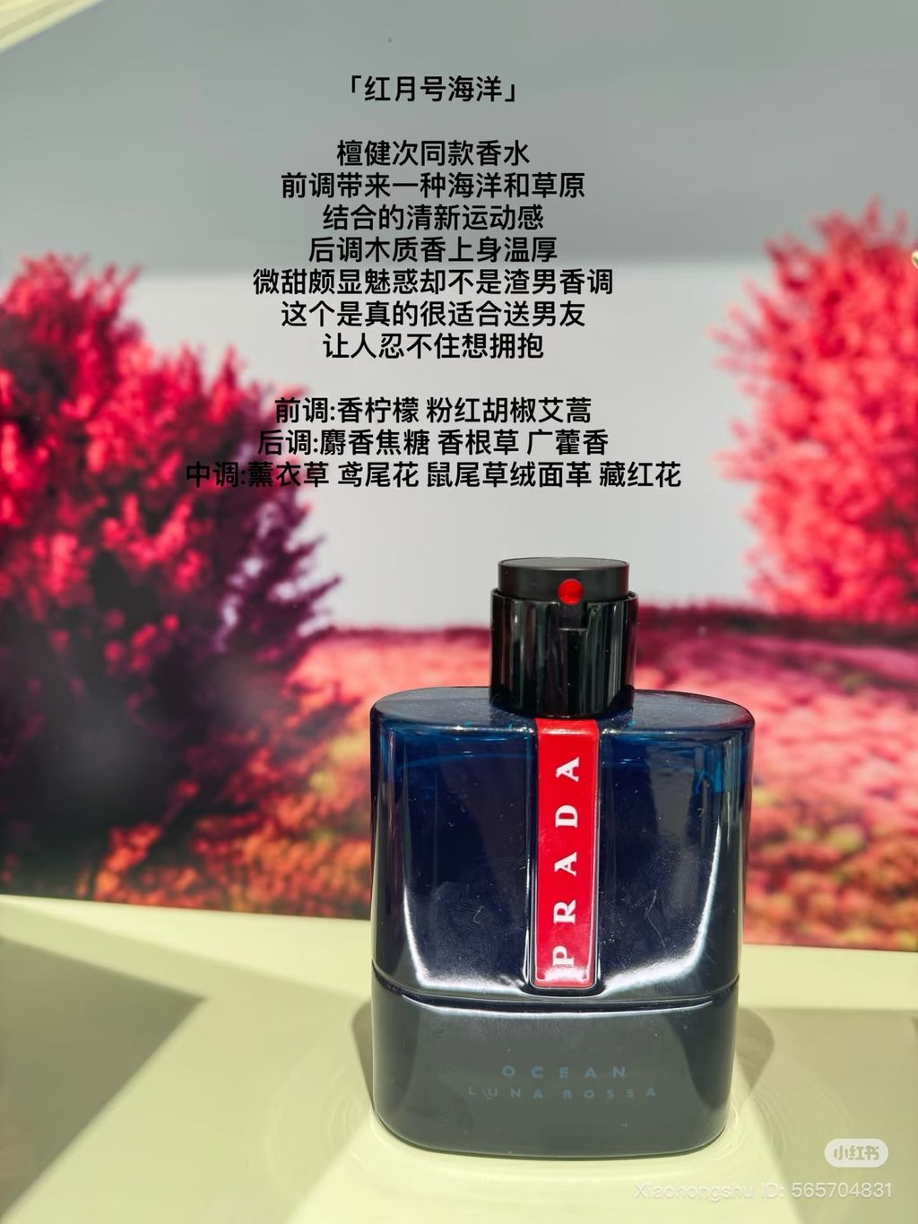 image_785EB2C4-43CE-4803-BF66-C5DBD2D15035_1761657829