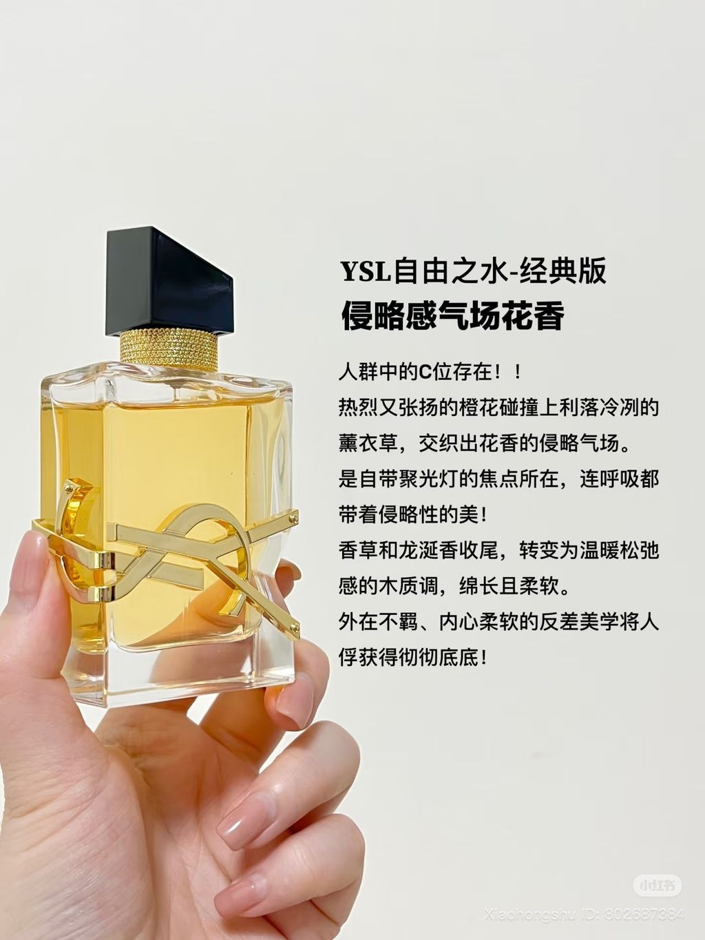 image_53D6AB27-F658-49B3-ACC0-0B3DB78D8022_1761658902