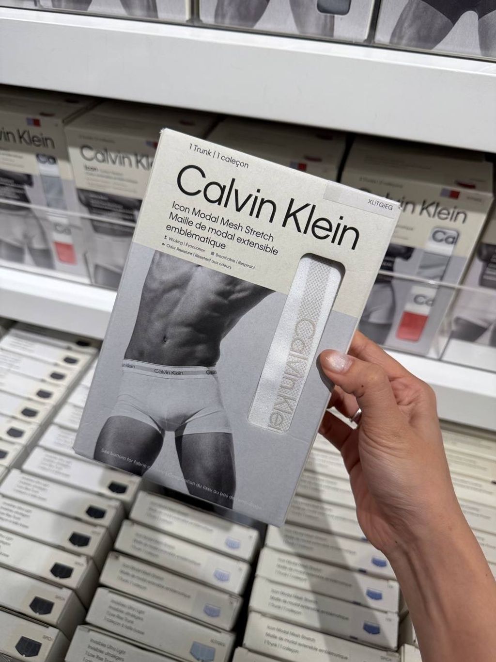 image_4542FDB6-4E45-4B12-8B04-E71C122BE015_1764176408