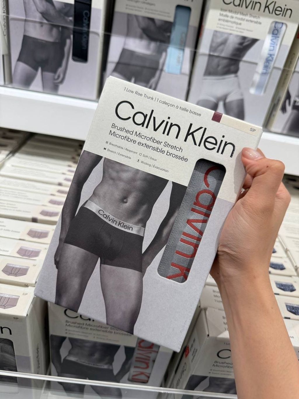 image_EB96C8F0-ACA4-4969-B82C-B1D1531112F8_1764181347