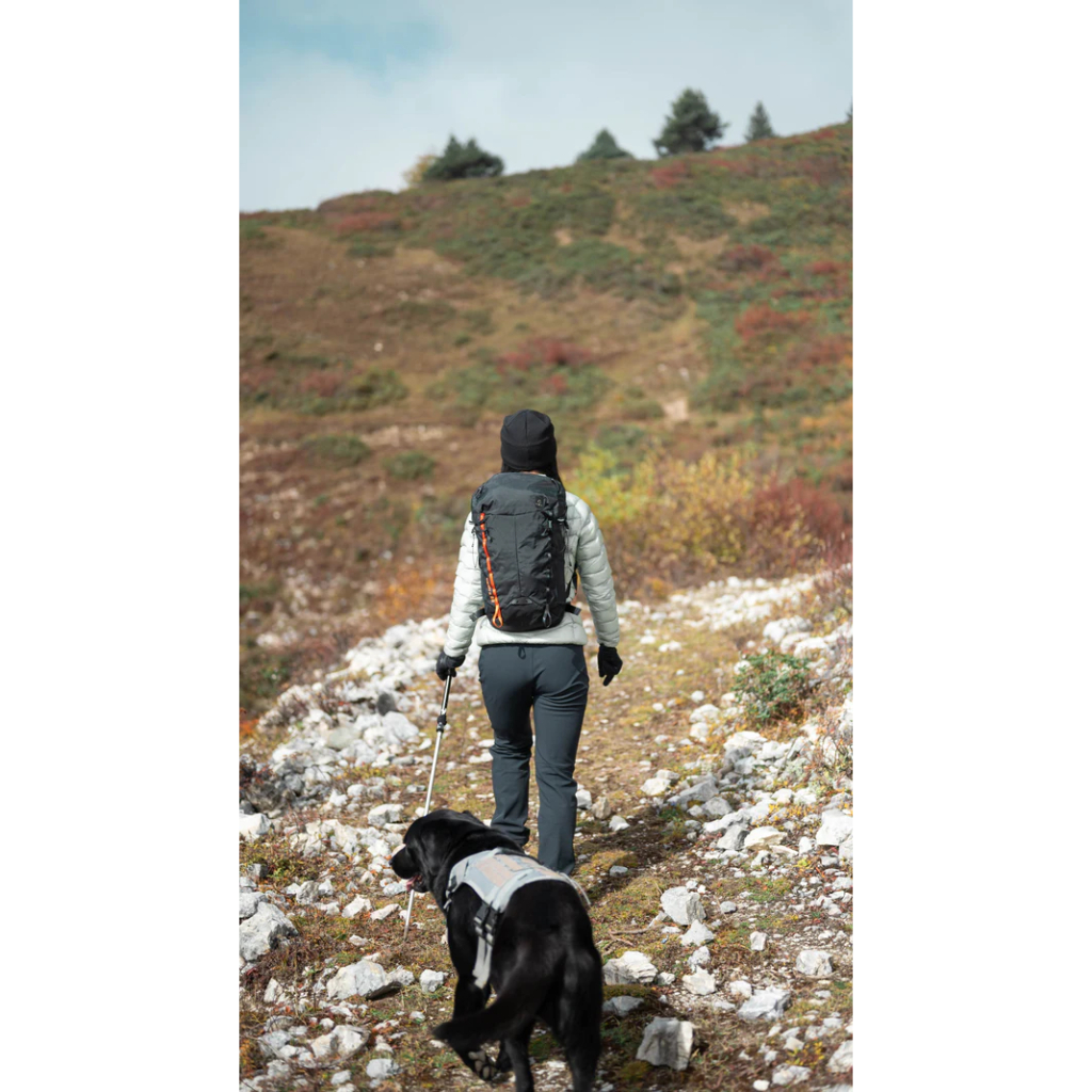 my-11134207-7ras9-m0wvvhaougzx74