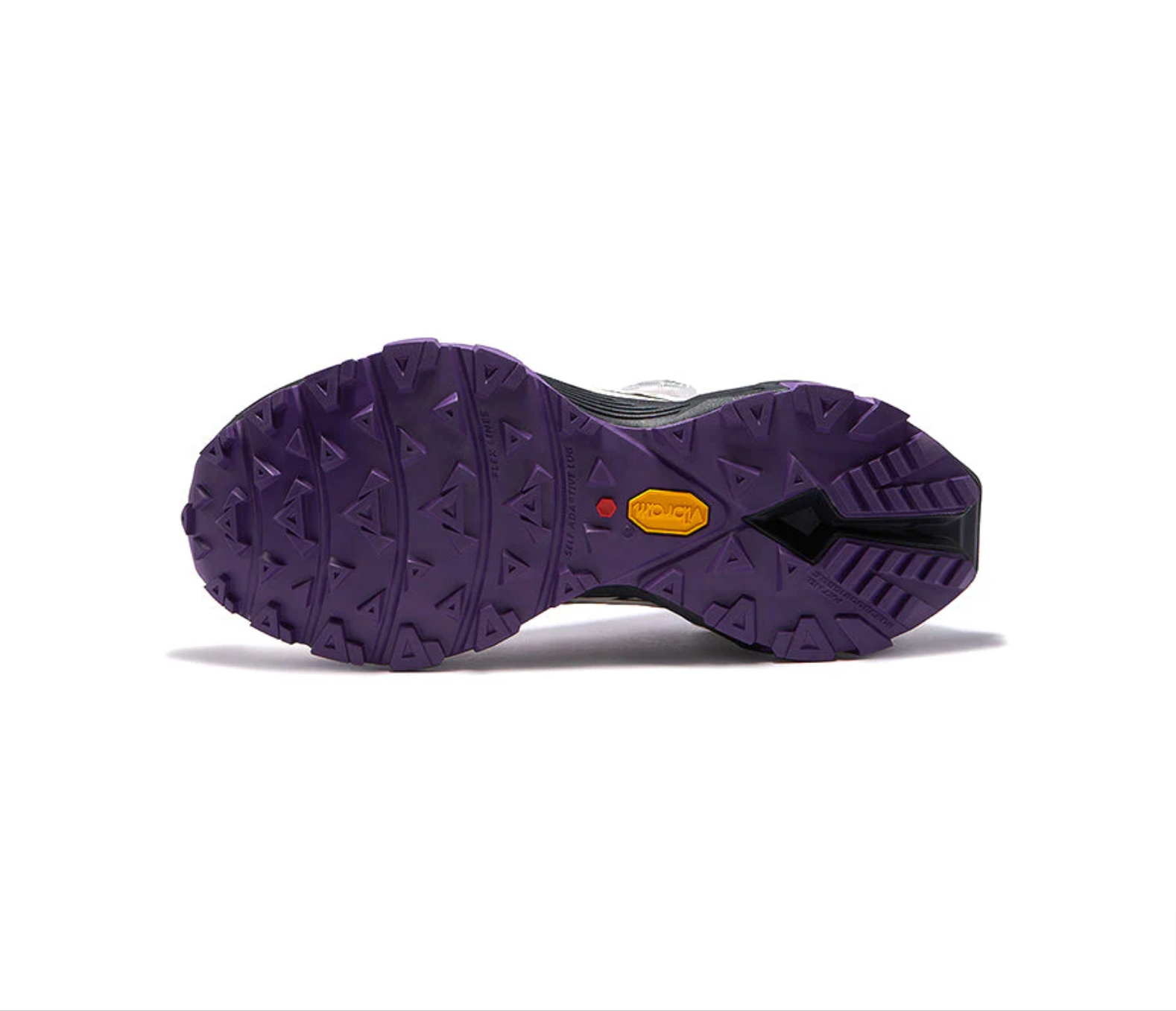 image_747E72E7-2BF0-43EA-B946-BCC809D52492_1761549678