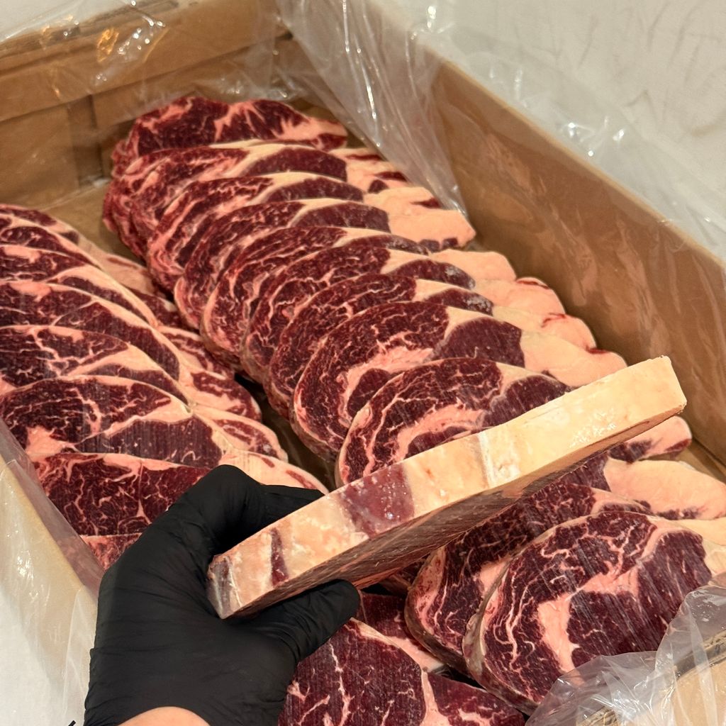 image_E09C0BAF-6E8D-47F3-BF95-742015DF8CD0_1772975101