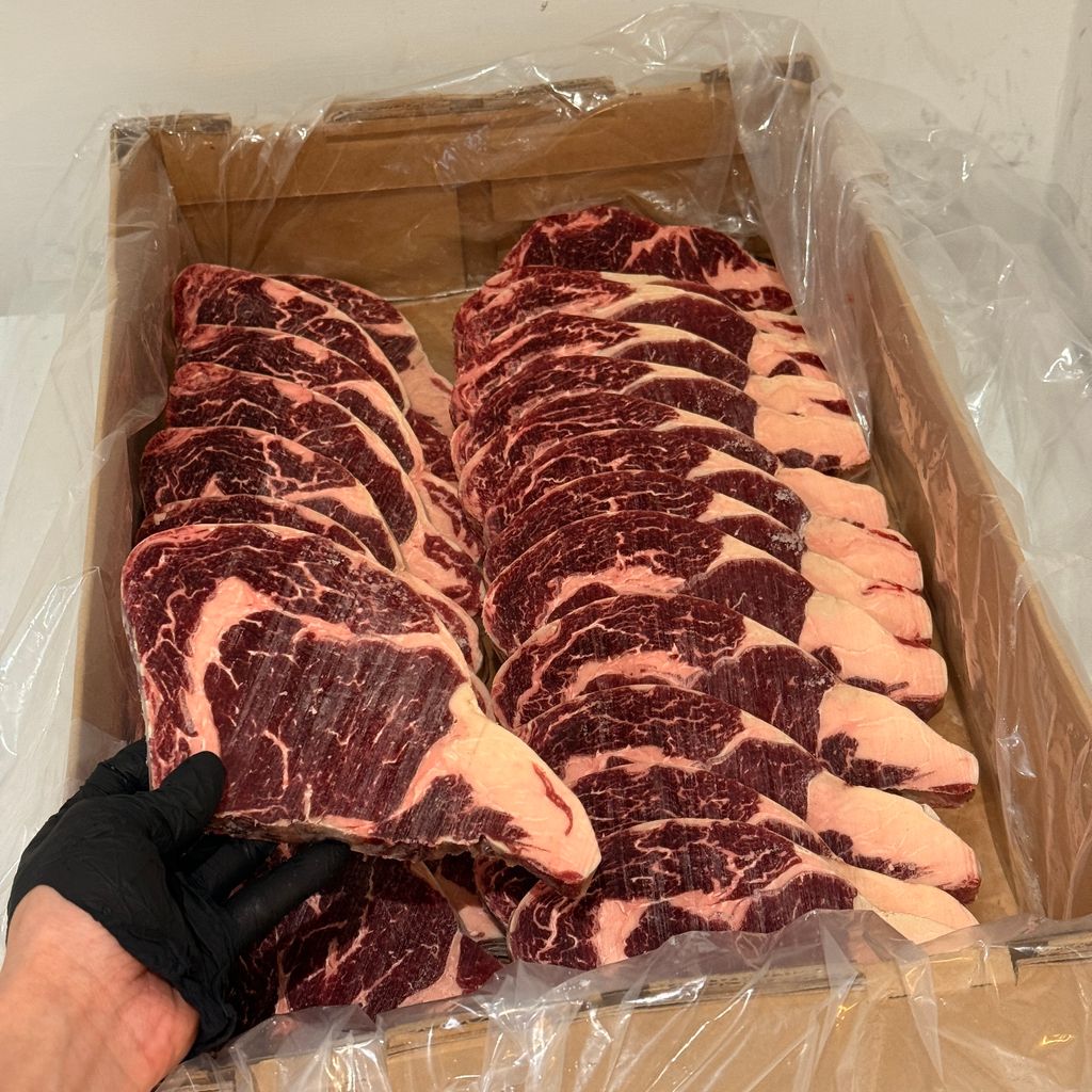 image_49D9F6AB-C3F1-4B94-9750-4921895686DB_1772975101