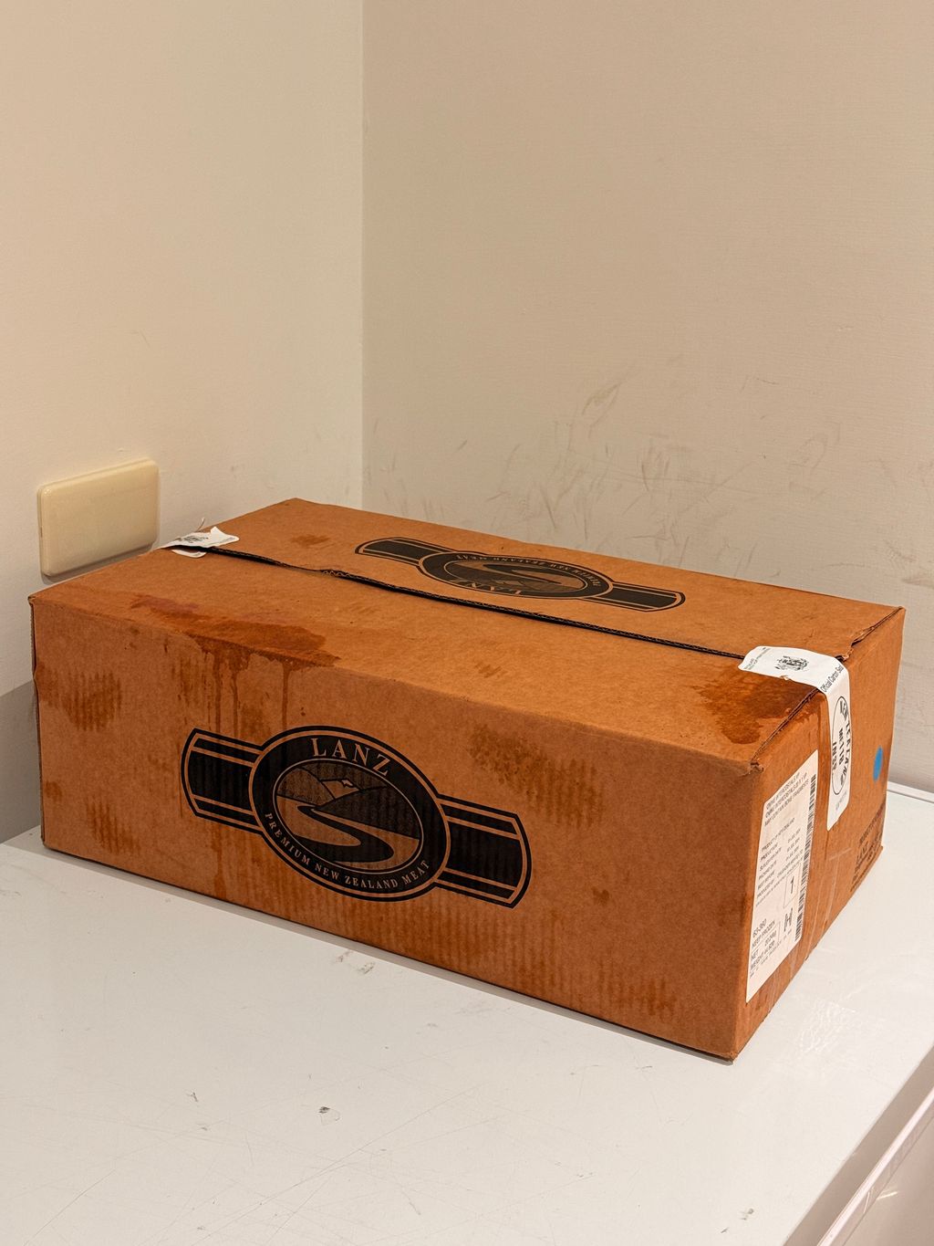 image_5B4F935F-7309-4CCC-923E-89B405E01049_1772983339