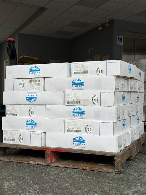 image_461E04A7-05CE-4C58-B4E3-A806FE75890C_1772987730