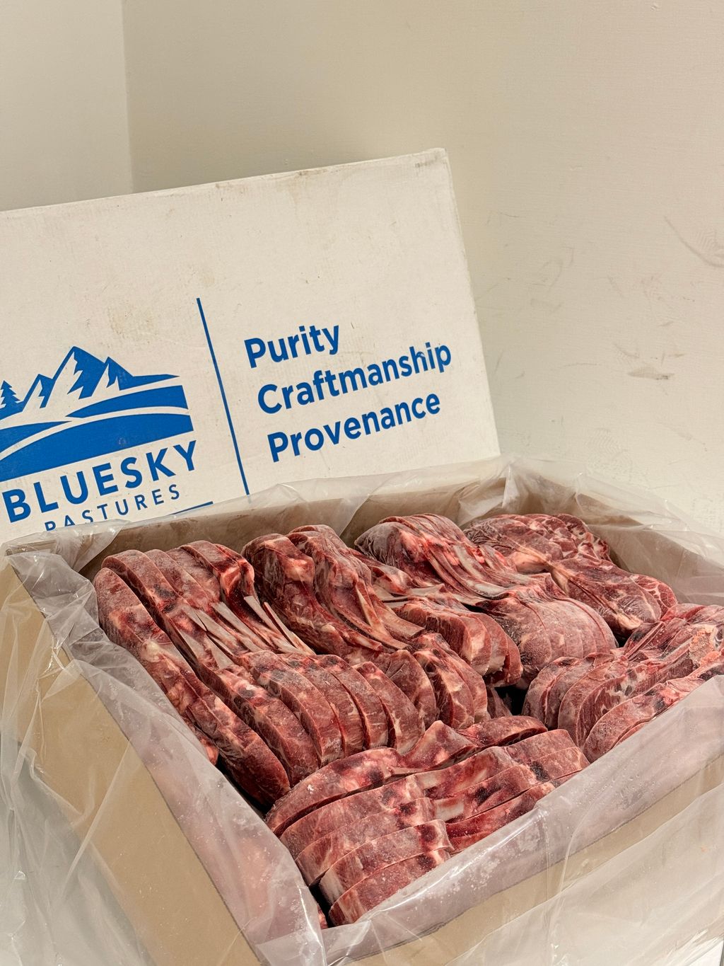 image_53FA592A-39A7-4C42-BEFA-511F6D6A2700_1772987730