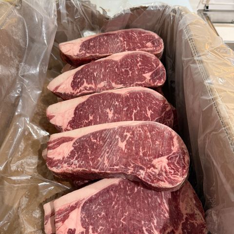 image_B6214A70-FF6B-4159-974A-A91E8C84730F_1775134653