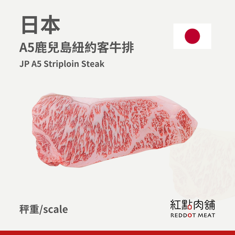 你的段落文字 (21)