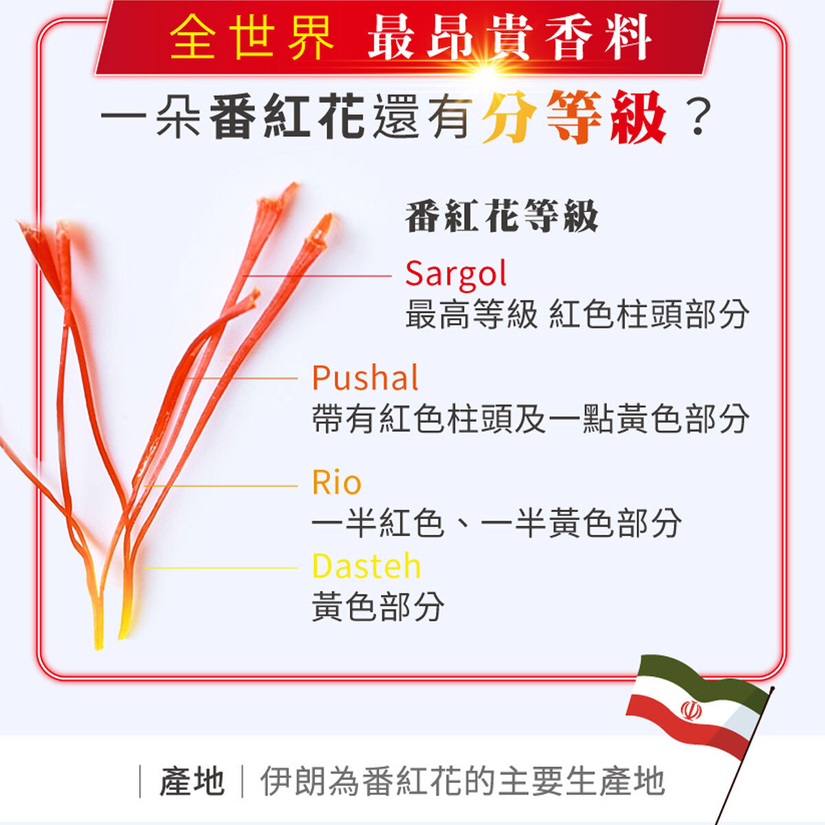 番紅花06