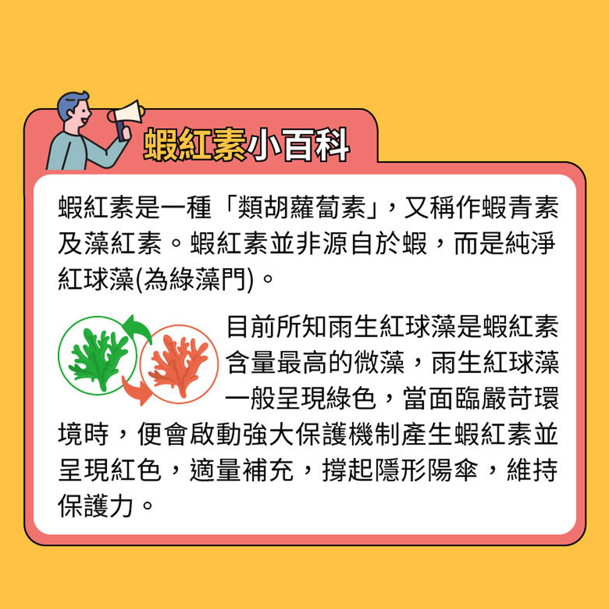雨生紅藻06