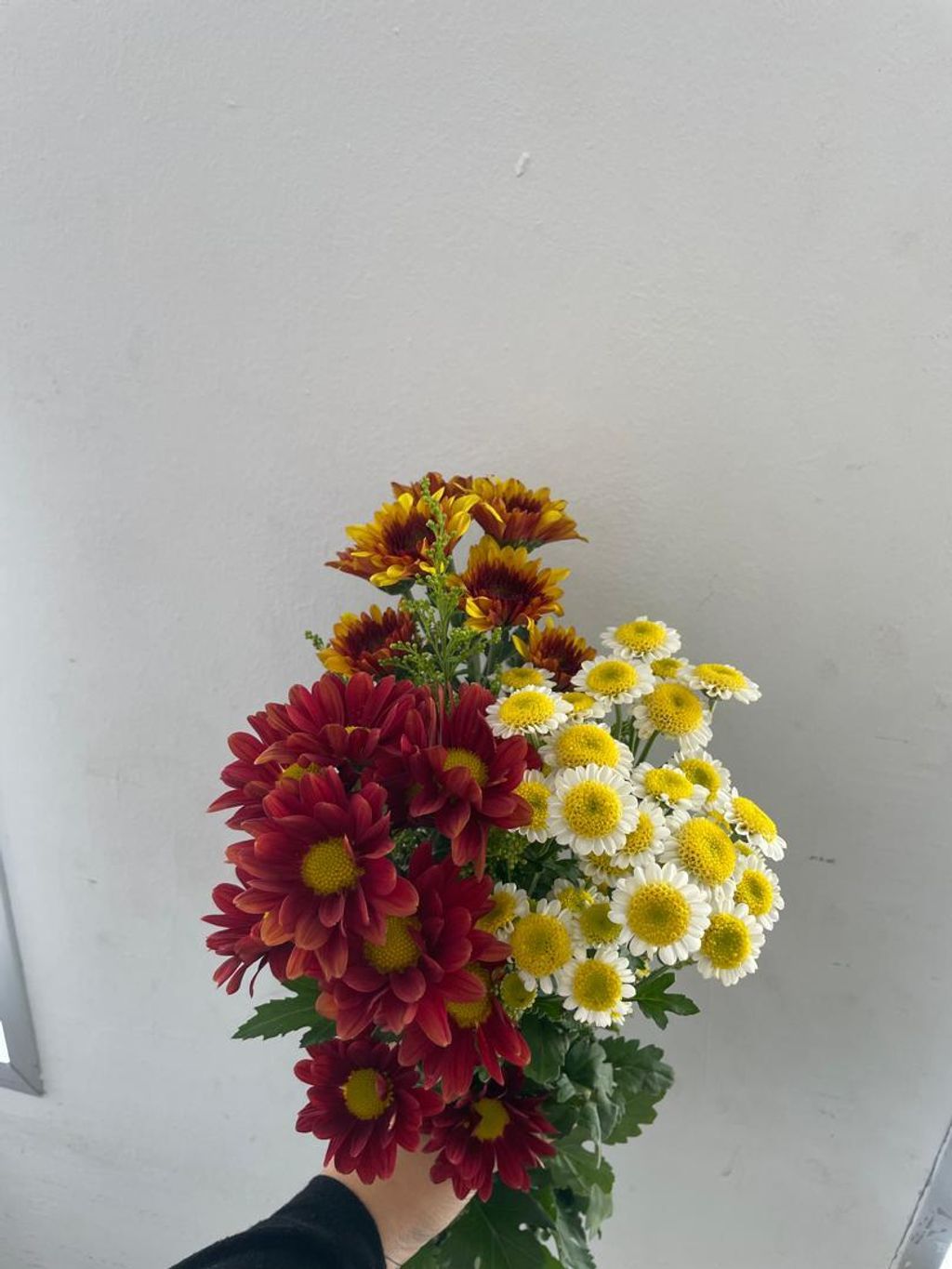 WhatsApp Image 2026-04-02 at 11.51.26 AM (1)