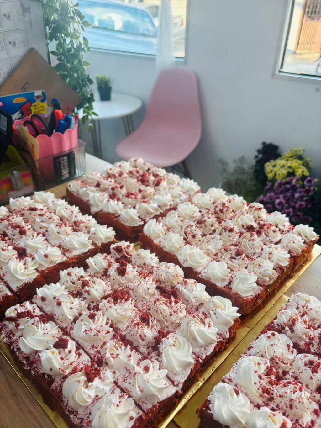 WhatsApp Image 2025-11-20 at 11.10.02 PM