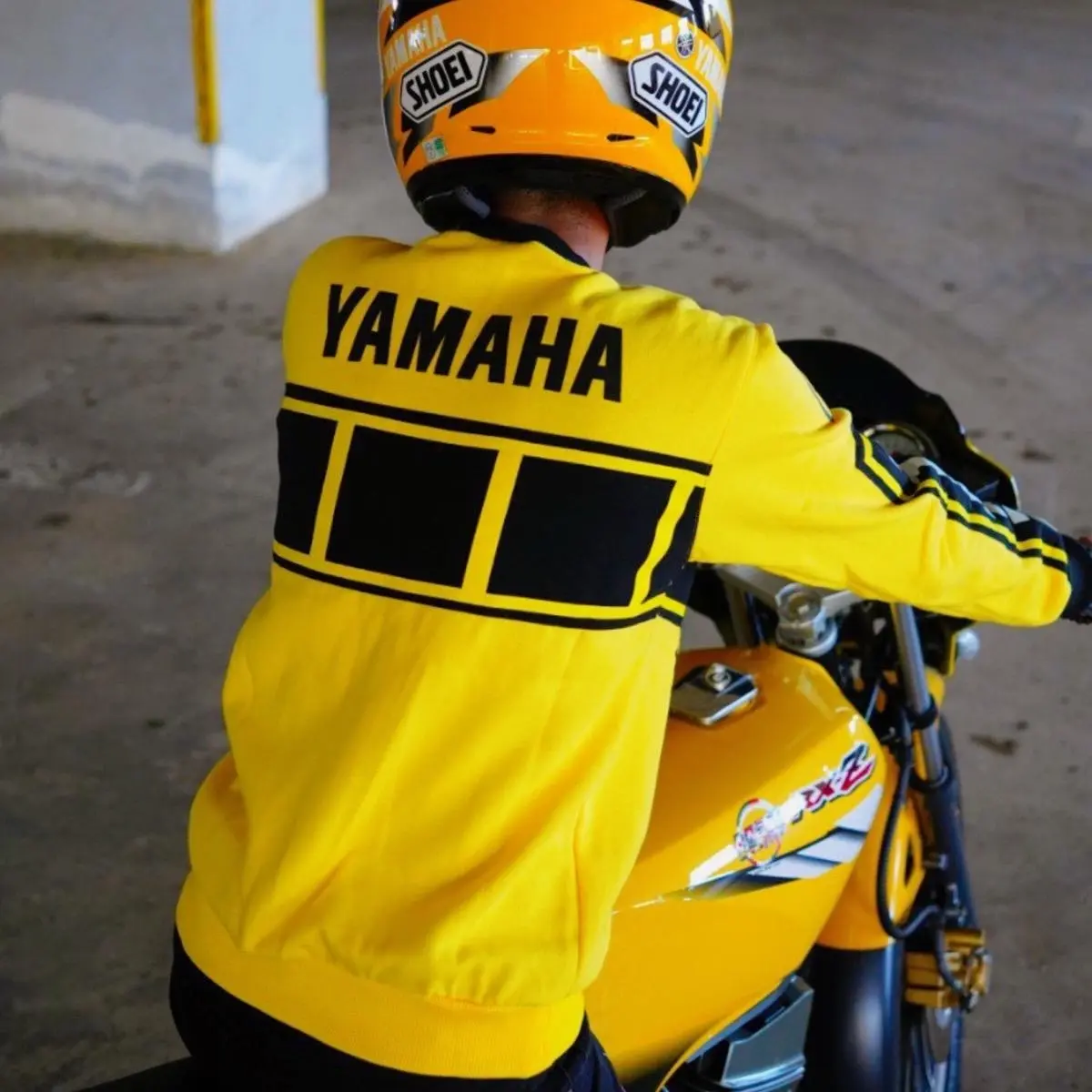 WPXy3TPD676a70880dc49_1735028872
