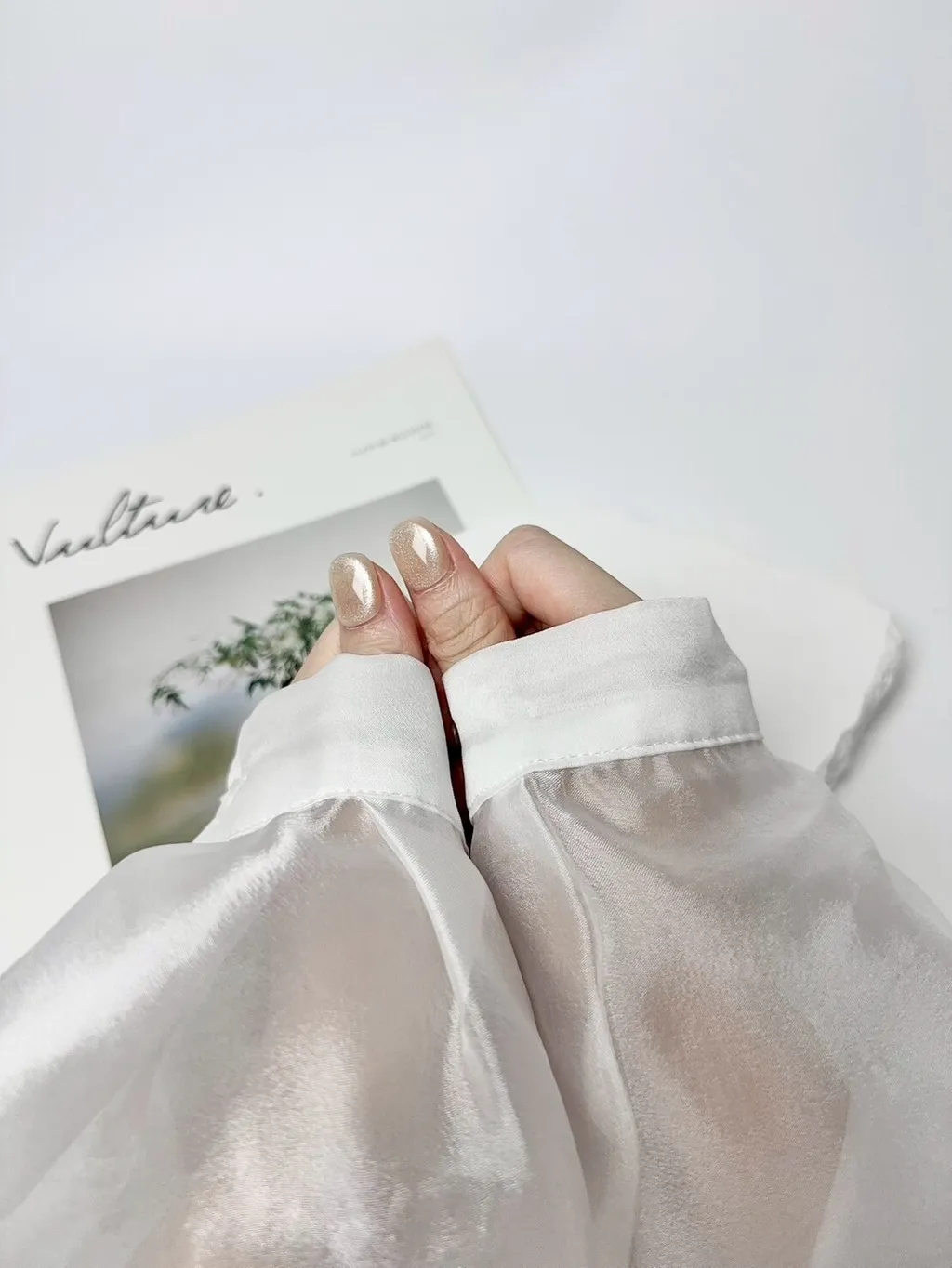 【#小金桔】貓眼