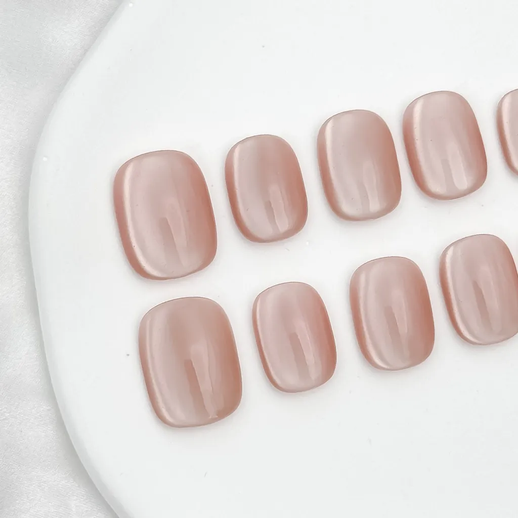 【#薔薇花語】貓眼