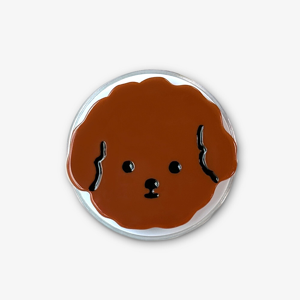 image_1713930387531_1000