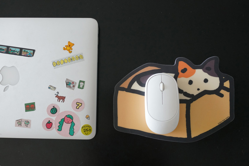 mousepad-Cat2(box)-snap1