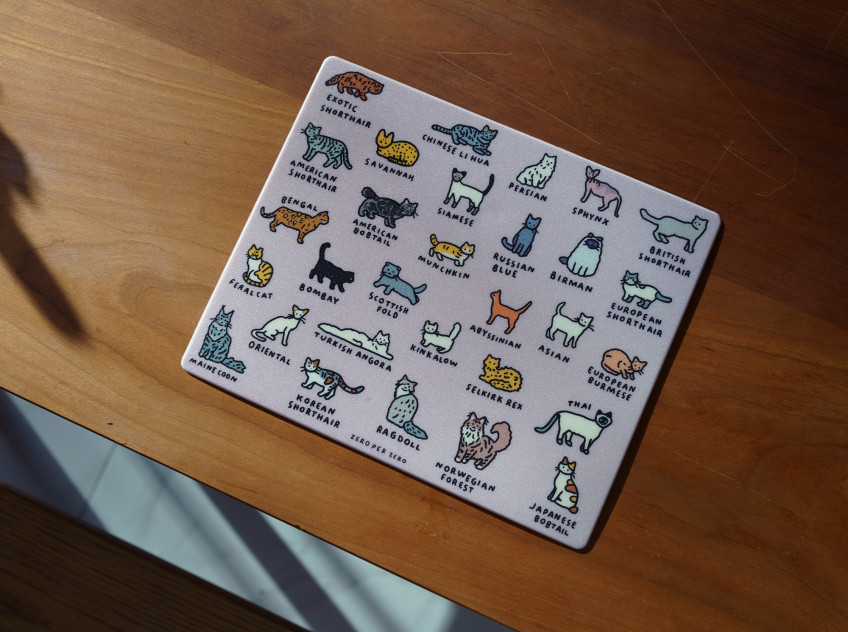mousepad-cat-dictionary-snap1