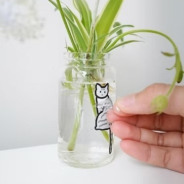 tw-11134207-81zte-mgyu6hdrwj6450