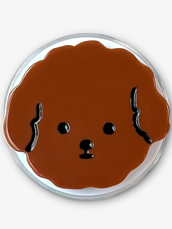 tw-11134207-81ztk-mgmj1ned337s1a