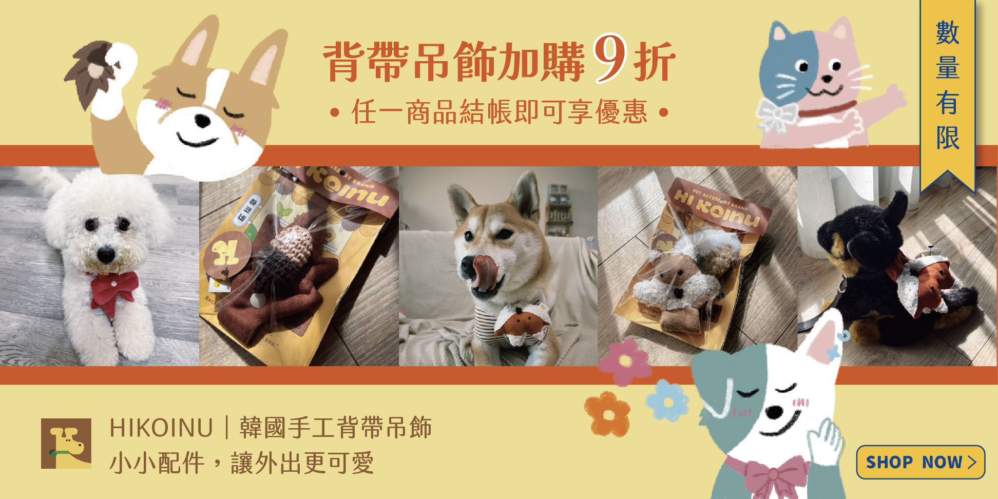  | 毛多多聯盟