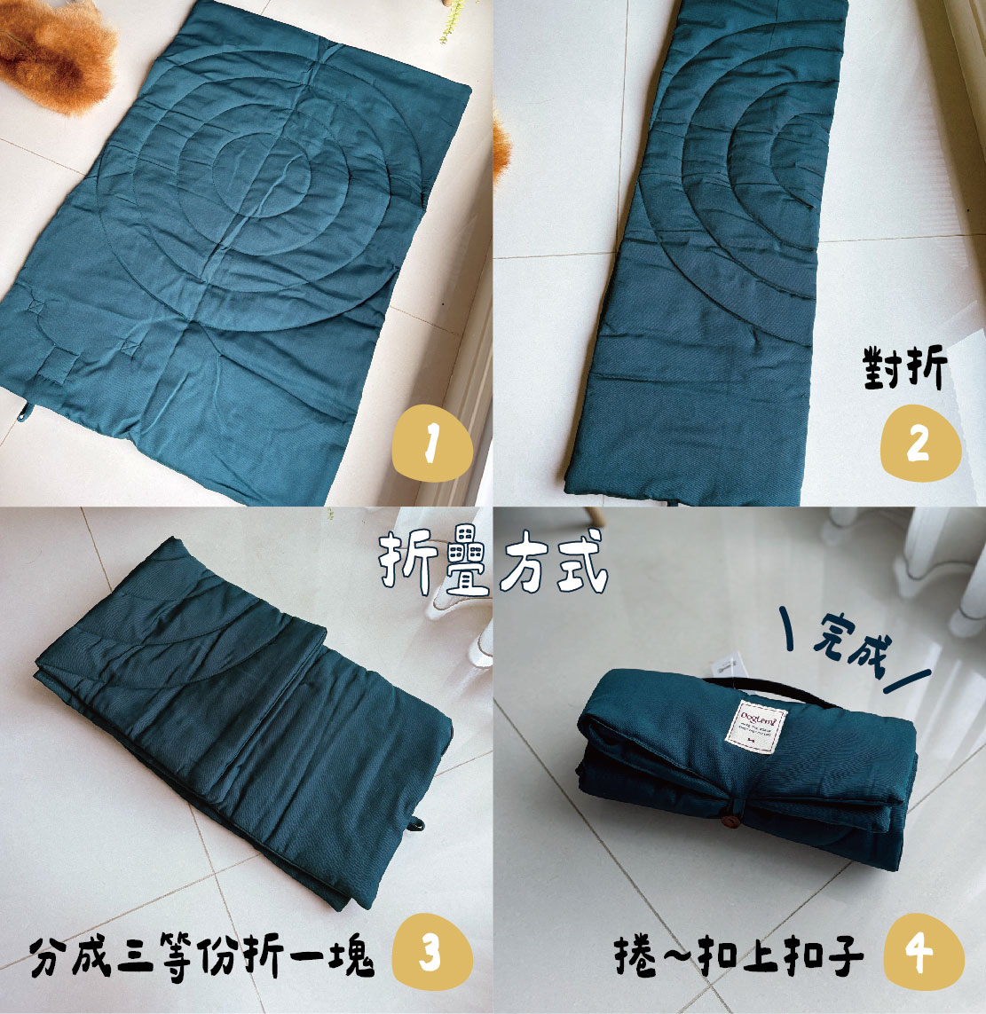寵物-20