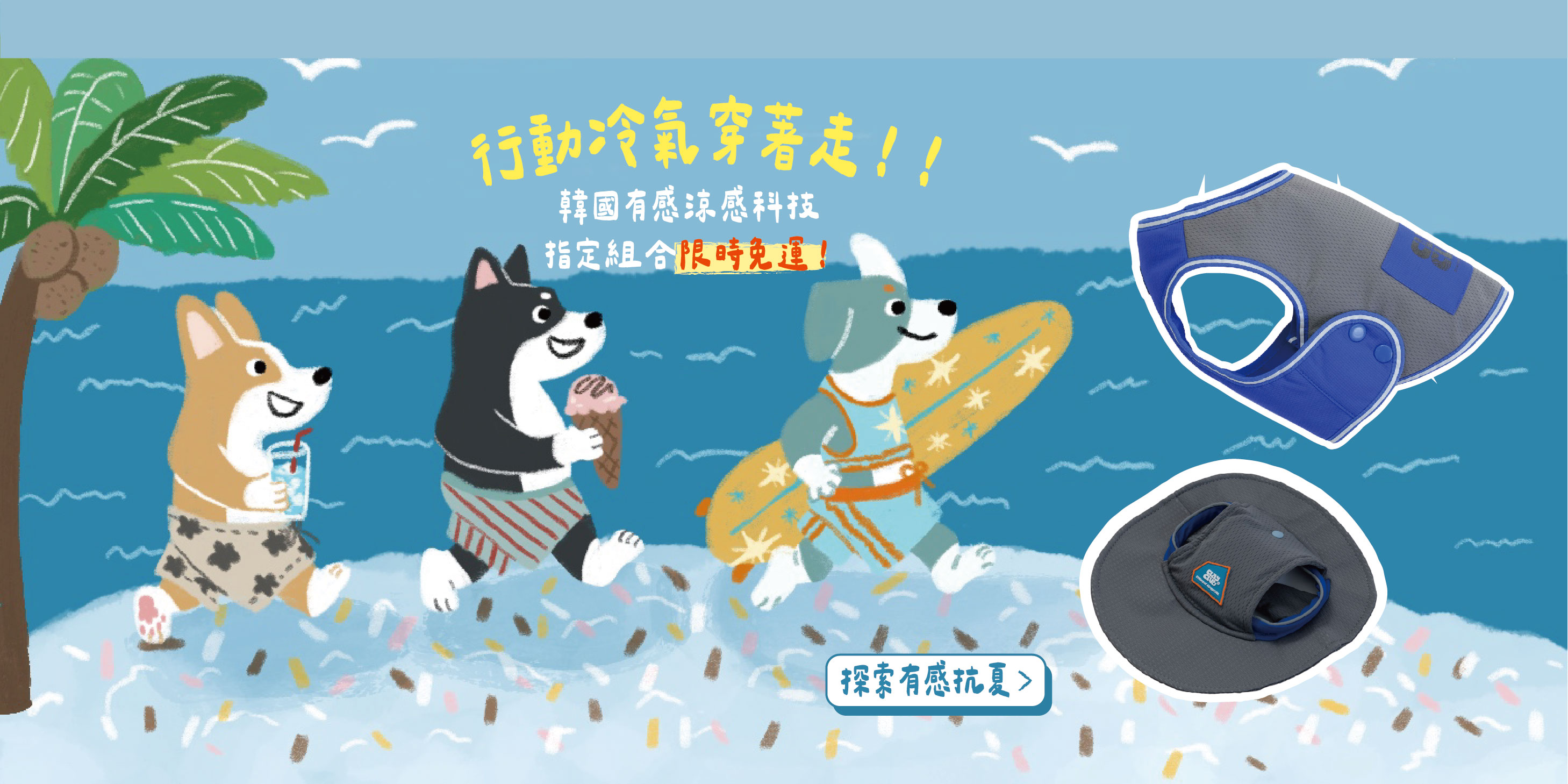  | 毛多多聯盟