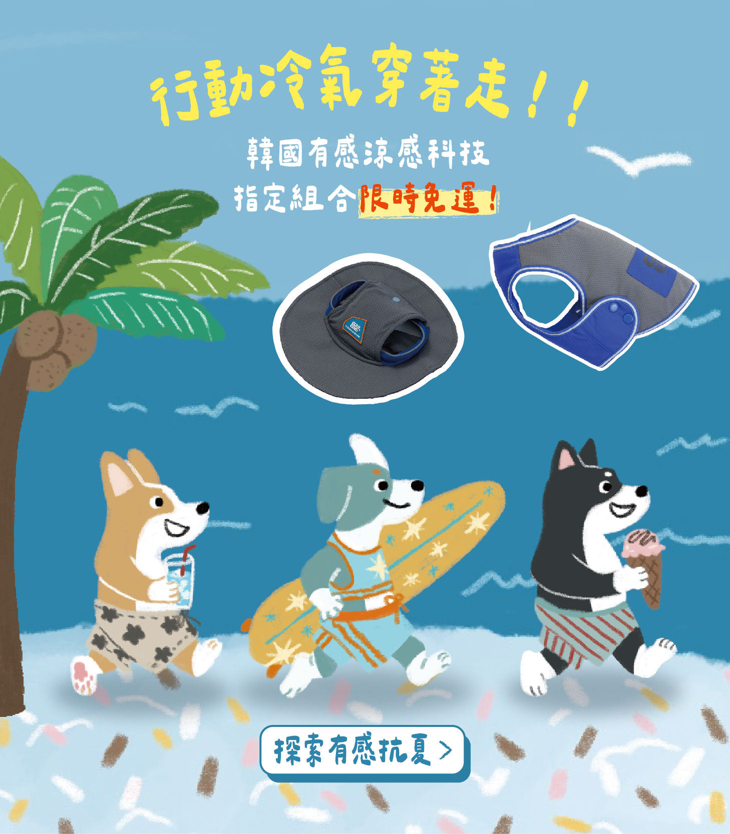  | 毛多多聯盟