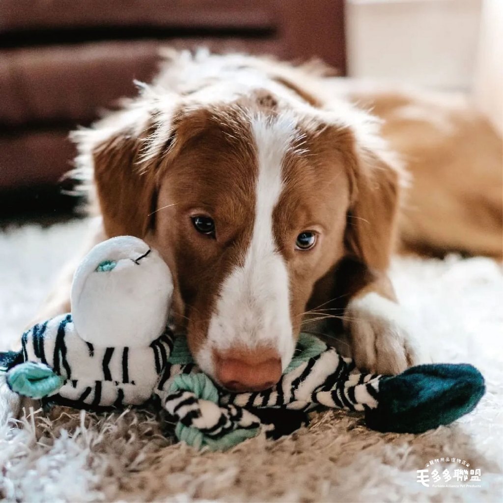 tw-11134207-820lf-mleracbogcncbe