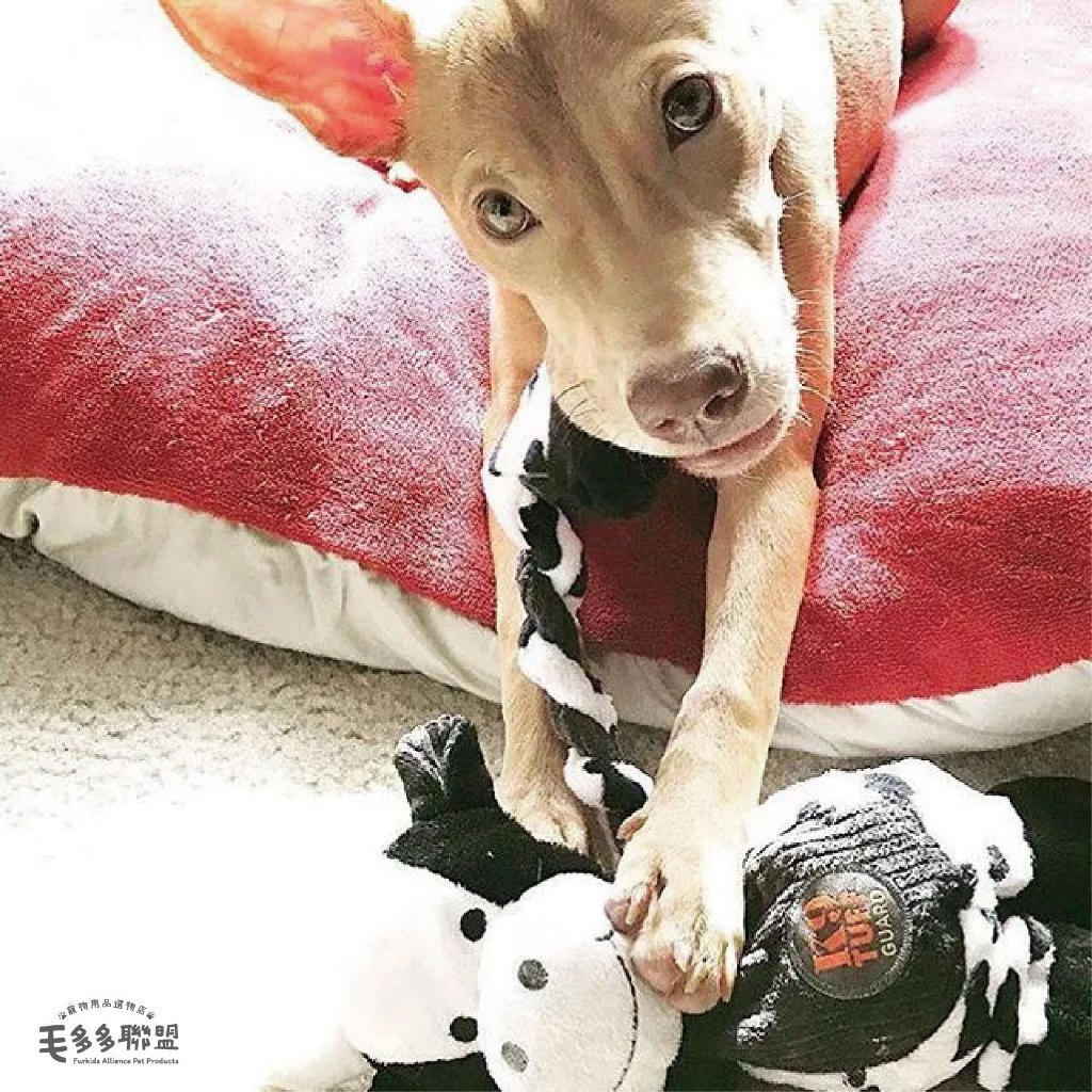 tw-11134207-820lg-mleracbp9uki24