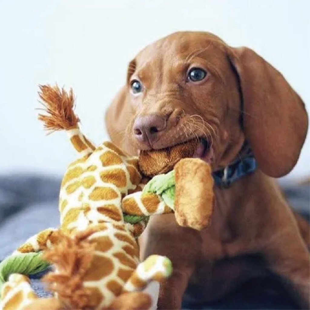 tw-11134207-820l7-mleracbl6cxs0a