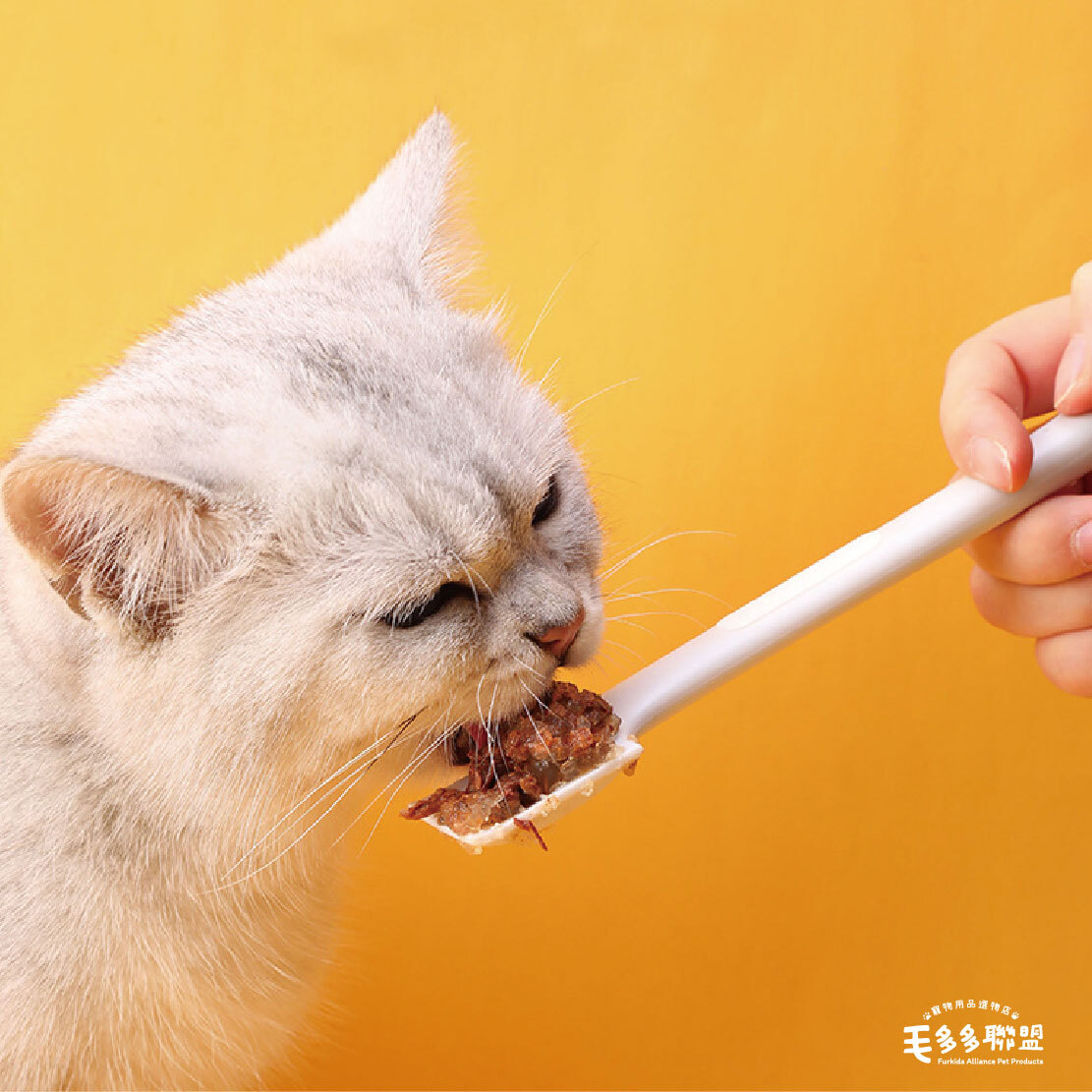 寵物罐頭湯匙-04