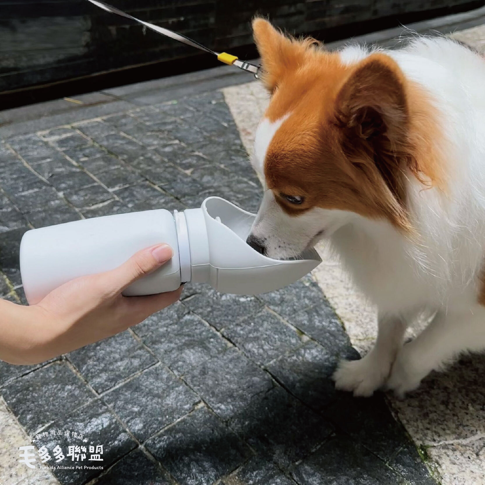 外出折疊水壺-13