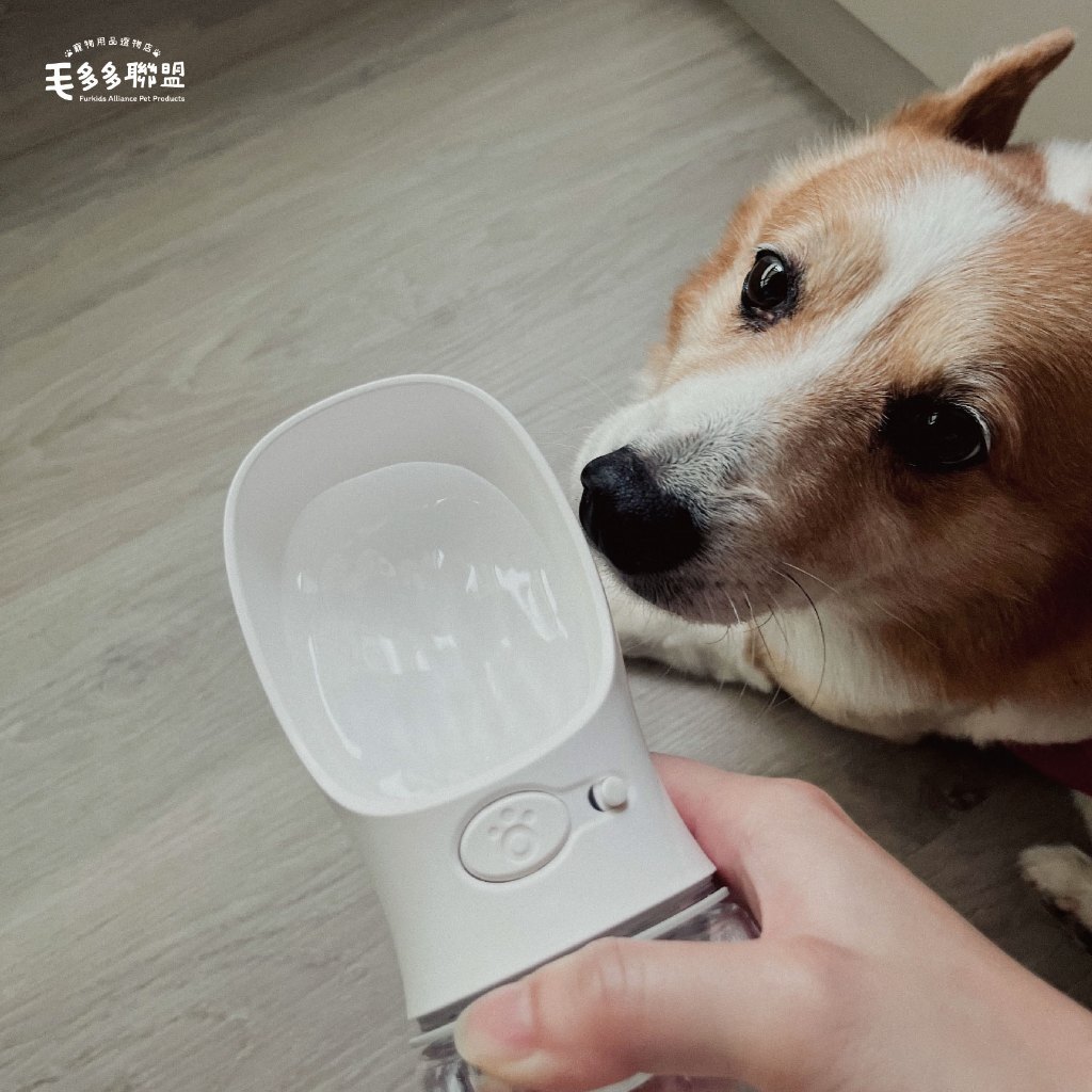 tw-11134207-7r98z-lvo6l43stgia3a