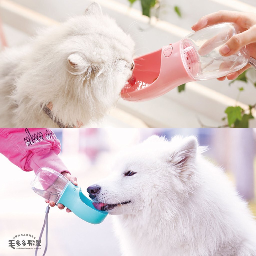 tw-11134207-7r98x-lvo6l438u9qqe0