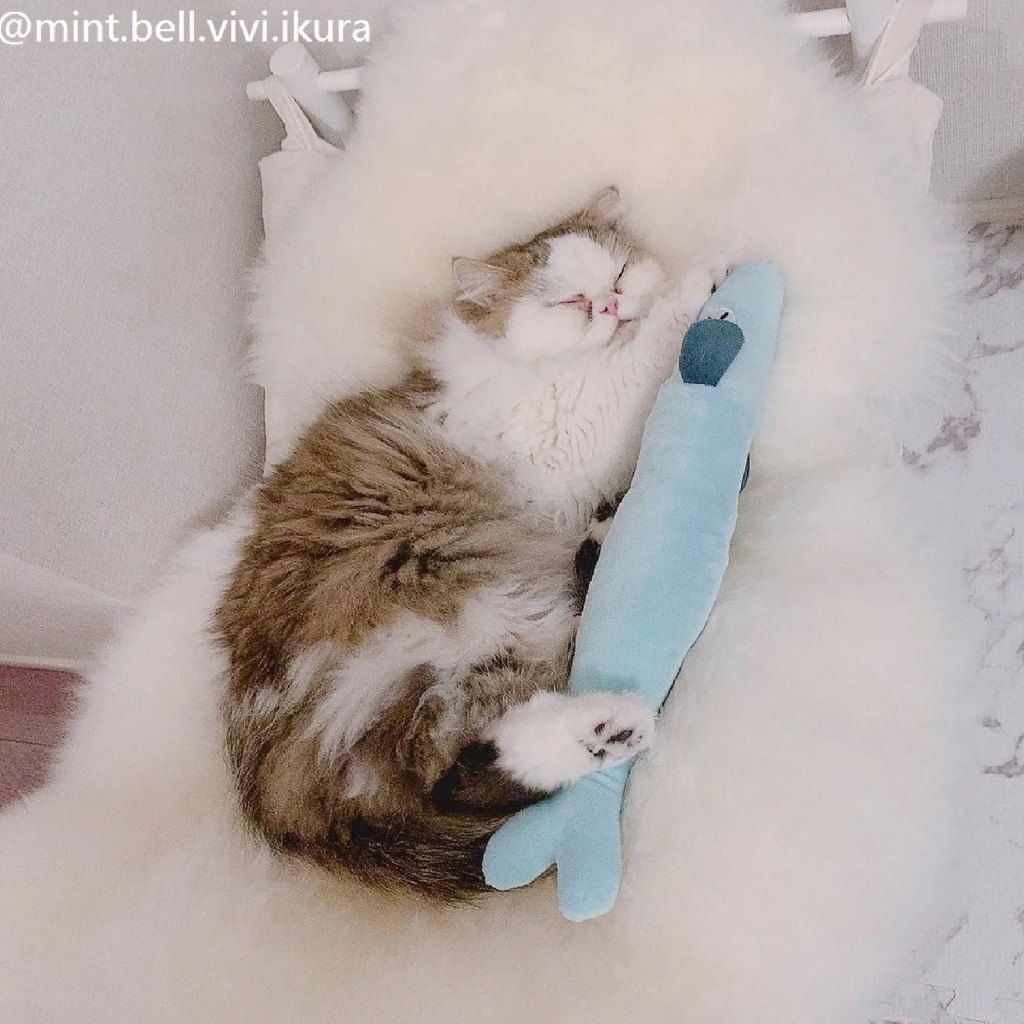 tw-11134207-7rbkd-m7njjua0w9kaab