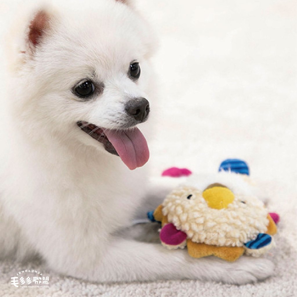 tw-11134207-7r98p-lz8yfag6lx5q0d